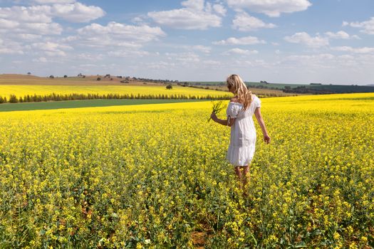 Woman in white cotton dress in a field of golden canola flowering in the warm spring sun