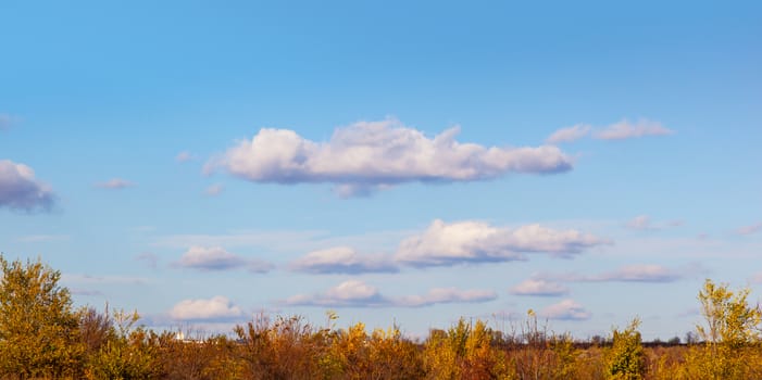 Blue sky with clouds Sunny autumn day autumn, forest landscape