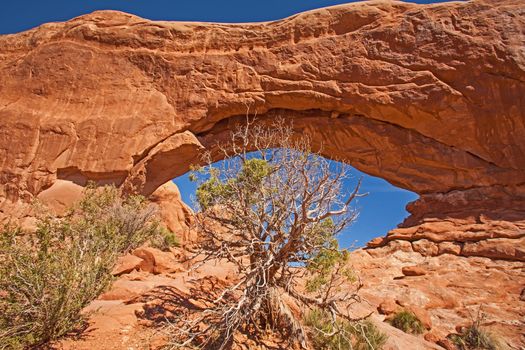 South Window in the Windows Section of Arches National Park. Utah. USA