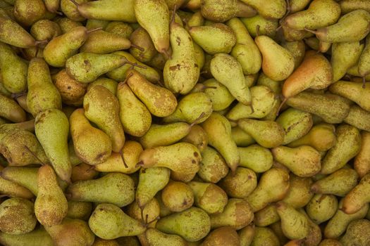 Pear texture: lots of pears collected in a bins at the time of their collection at the production stage. Pear storage.