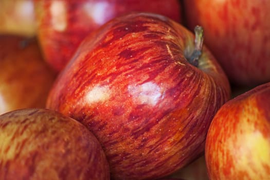Still life image of red Starking apples seen from close up.