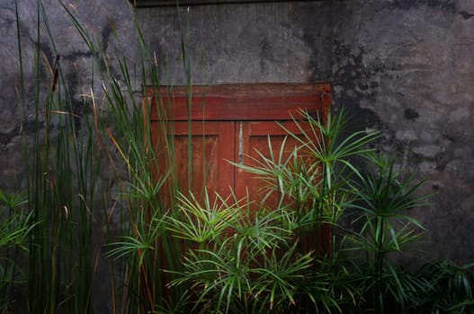 Old cement wall with wood window with sun set. Evening light on wall.