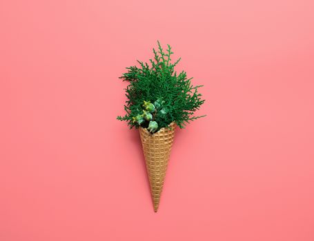Christmas concept. Bouquet of cypress branches in ice cream cone. Isolated on pink background. Flat lay or top view