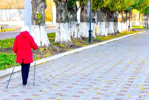 simple and sports walks in the Park in mid-autumn