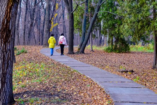 simple and sports walks in the Park in mid-autumn