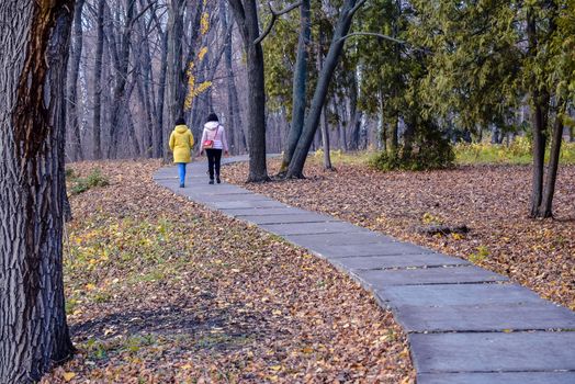 simple and sports walks in the Park in mid-autumn