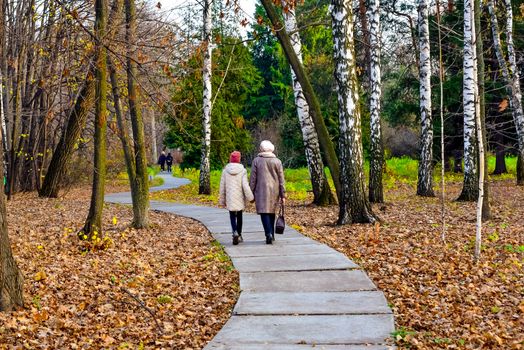 simple and sports walks in the Park in mid-autumn