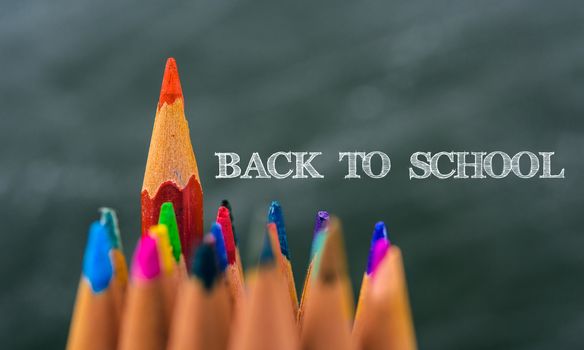 Back to school, Red pencil standing out from crowd, plenty business success concept