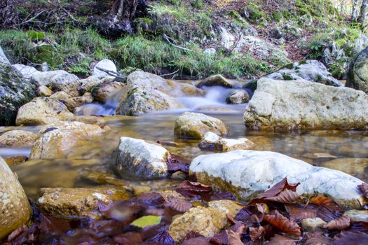 creek in the woods  of val fondillo  in autumn, Abruzzo national park, Italy