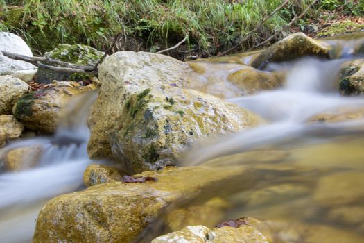 creek in the woods  of val fondillo  in autumn, Abruzzo national park, Italy