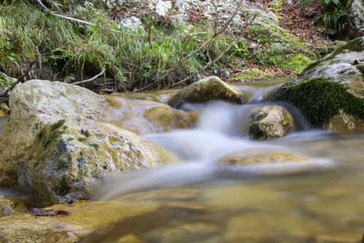 creek in the woods  of val fondillo  in autumn, Abruzzo national park, Italy