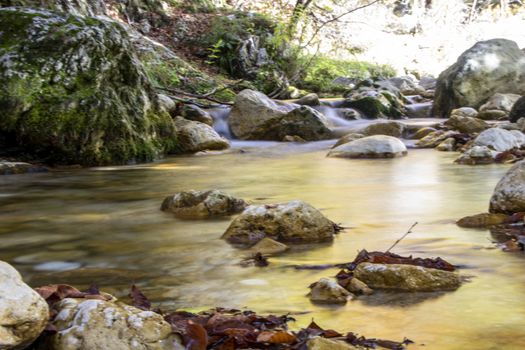 creek in the woods  of val fondillo  in autumn, Abruzzo national park, Italy