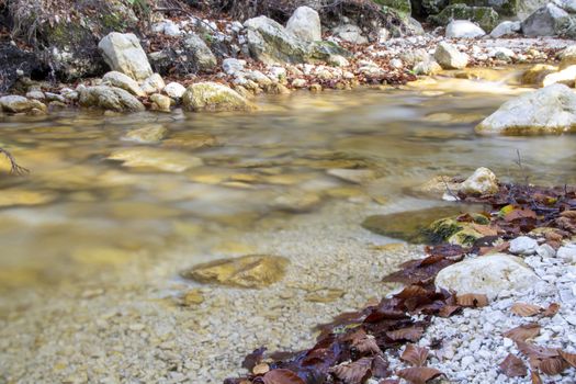 creek in the woods  of val fondillo  in autumn, Abruzzo national park, Italy
