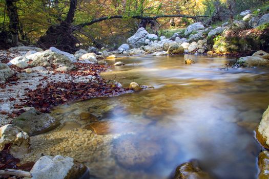 creek in the woods  of val fondillo  in autumn, Abruzzo national park, Italy