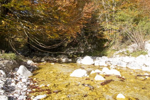 autumnal landscape of val fondillo  in Abruzzo national park, Italy