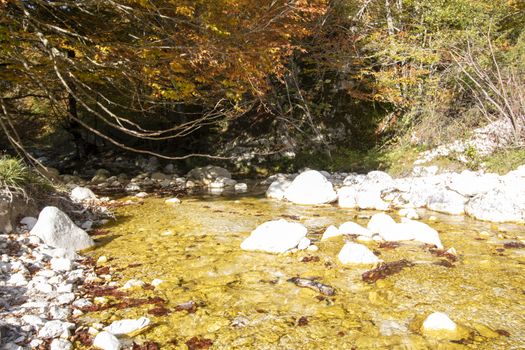 autumnal landscape of val fondillo  in Abruzzo national park, Italy
