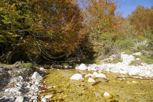 autumnal landscape of val fondillo  in Abruzzo national park, Italy