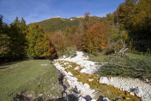 autumnal landscape of val fondillo  in Abruzzo national park, Italy