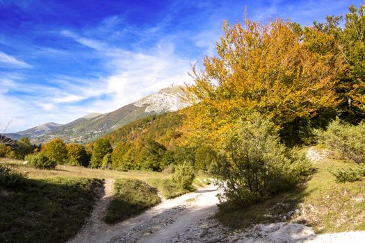 autumnal landscape of val fondillo  in Abruzzo national park, Italy
