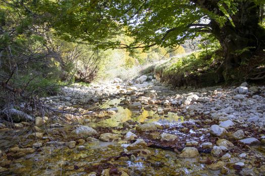 autumnal landscape of val fondillo  in Abruzzo national park, Italy