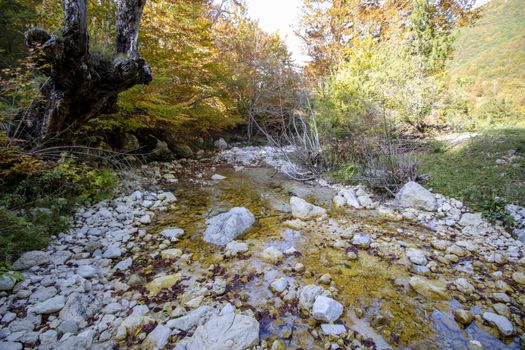 autumnal landscape of val fondillo  in Abruzzo national park, Italy