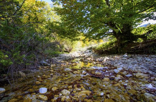 autumnal landscape of val fondillo  in Abruzzo national park, Italy