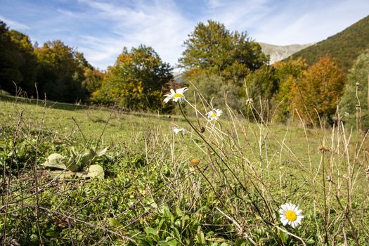 autumnal landscape of val fondillo  in Abruzzo national park, Italy