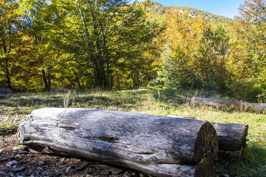 autumnal landscape of val fondillo  in Abruzzo national park, Italy