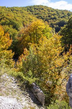autumnal landscape of val fondillo  in Abruzzo national park, Italy