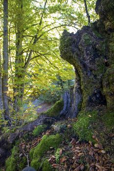 autumnal landscape of val fondillo  in Abruzzo national park, Italy