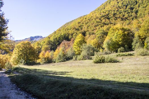 autumnal landscape of val fondillo  in Abruzzo national park, Italy