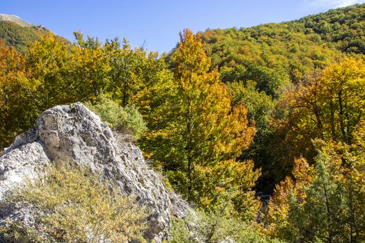 autumnal landscape of val fondillo  in Abruzzo national park, Italy