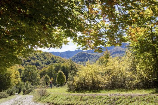 autumnal landscape of val fondillo  in Abruzzo national park, Italy