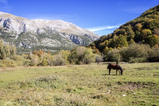 autumnal landscape of val fondillo  in Abruzzo national park, Italy