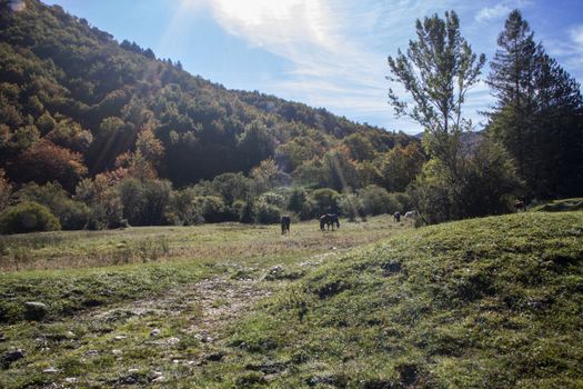 autumnal landscape of val fondillo  in Abruzzo national park, Italy