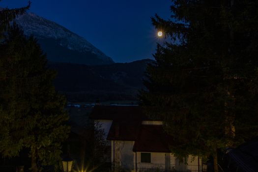 a house and a huge pine tree under the moonlight at Pescasseroli, Italy 