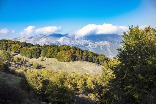 sunny valley in Abruzzo national park in autumn, Italy