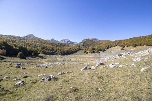 sunny valley in Abruzzo national park in autumn, Italy 