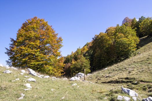 sunny valley in Abruzzo national park in autumn, Italy 