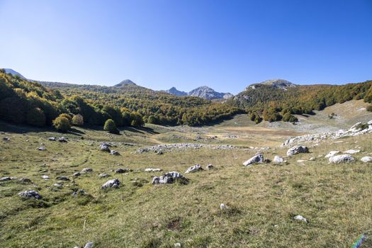 sunny valley in Abruzzo national park in autumn, Italy 