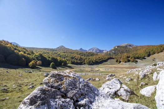 sunny valley in Abruzzo national park in autumn, Italy 