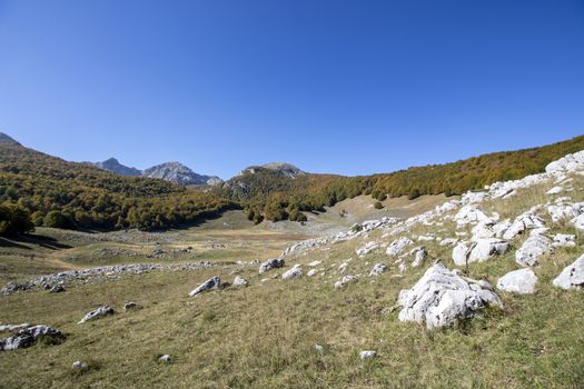 sunny valley in Abruzzo national park in autumn, Italy 