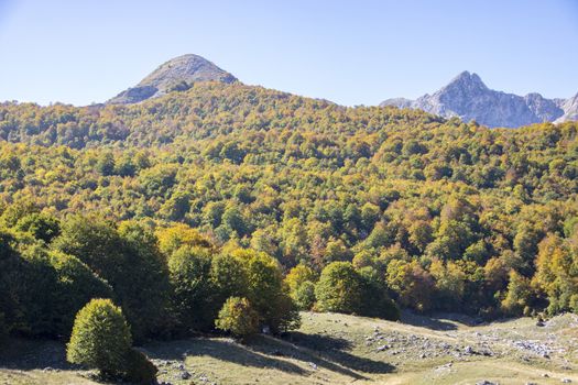 sunny valley in Abruzzo national park in autumn, Italy 