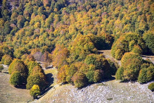 sunny valley in Abruzzo national park in autumn, Italy 