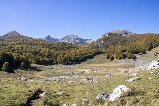 sunny valley in Abruzzo national park in autumn, Italy 