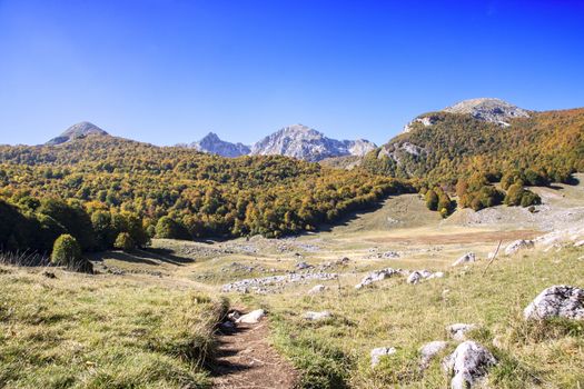 sunny valley in Abruzzo national park in autumn, Italy 