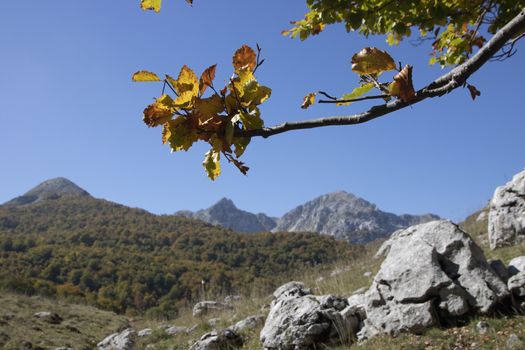 sunny valley in Abruzzo national park in autumn, Italy 