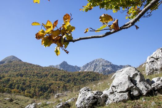 sunny valley in Abruzzo national park in autumn, Italy 