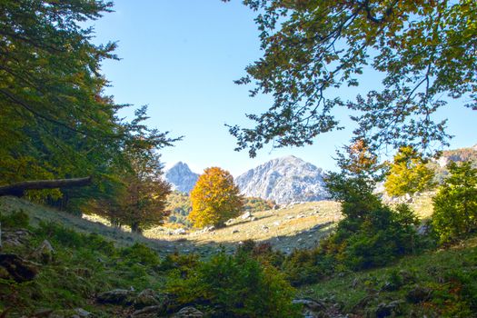 sunny valley in Abruzzo national park in autumn, Italy 