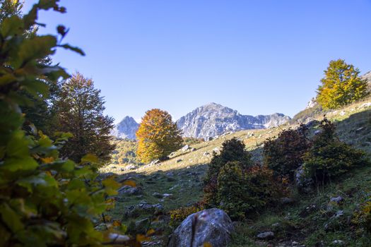 sunny valley in Abruzzo national park in autumn, Italy 